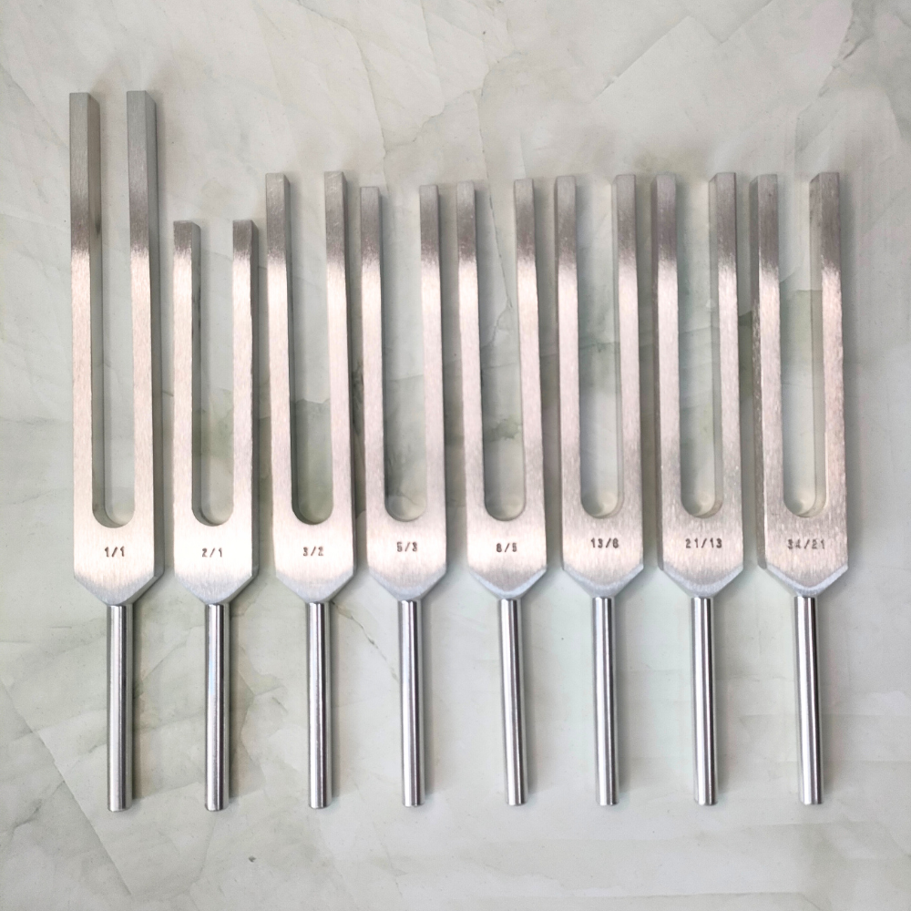 ㉓フィボナッチ8本セット