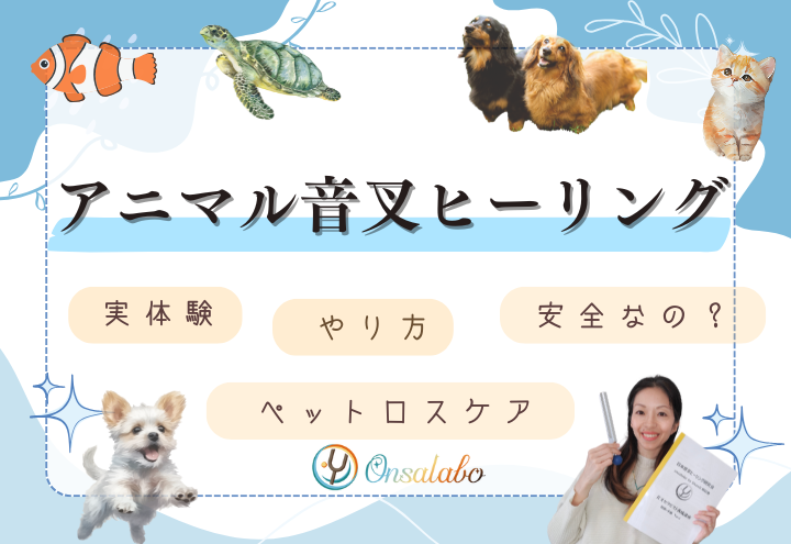 アニマル音叉ヒーリング講座。ペットロスケアにも。